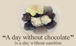 A day without chocolate is a day without sunshine